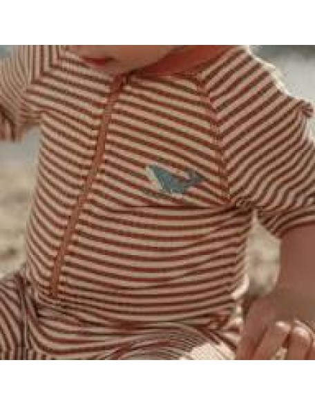 Едноделен костим за капење Ocean Brown Stripes 74/80 - Little Dutch