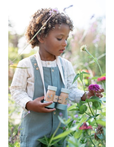 Двоглед - Forest Friends, Little Dutch