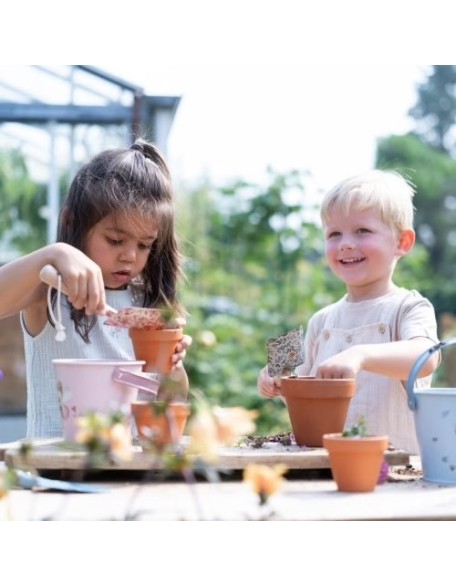Саксија со семе - јагода, Little Dutch