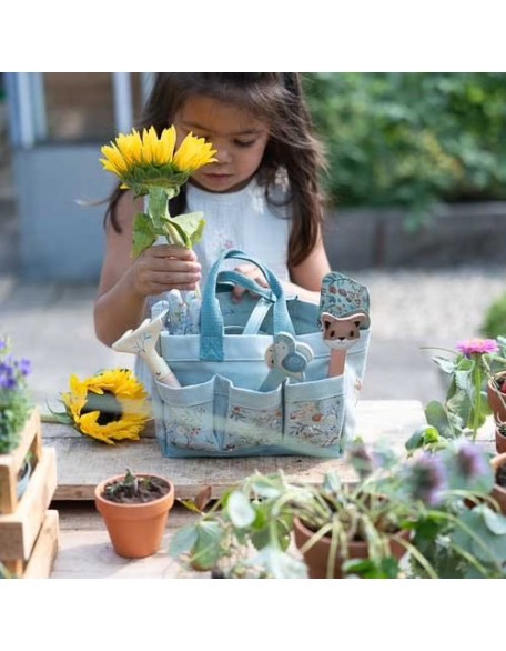 Саксија со семе - сончоглед, Little Dutch