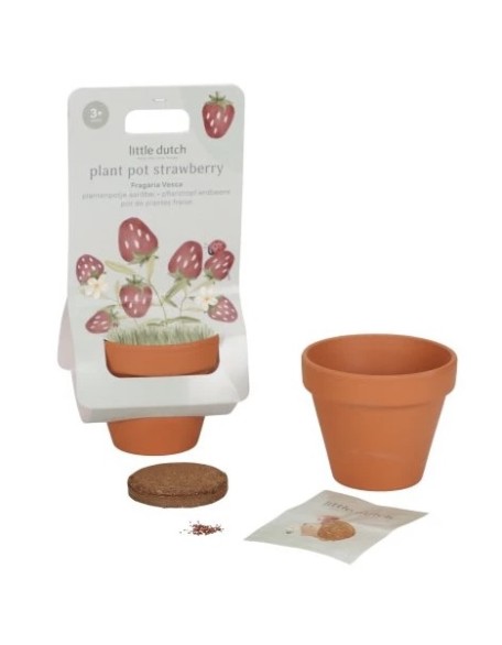 Саксија со семе - јагода, Little Dutch