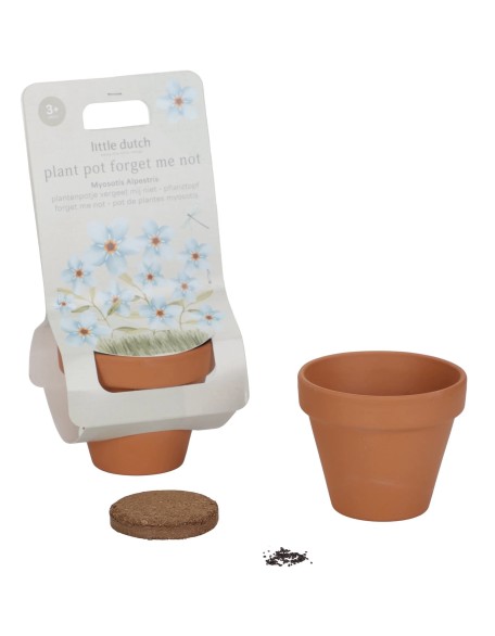 Саксија со семе - “Не ме заборавај” Little Dutch