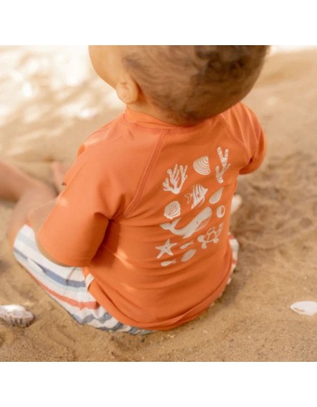 Шорцеви за капење Multicolored Sea Life 86/92 - Little Dutch