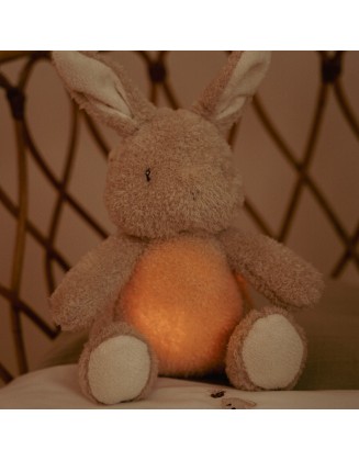 Светлосно и музичко зајче  - Baby Bunny, Little Dutch