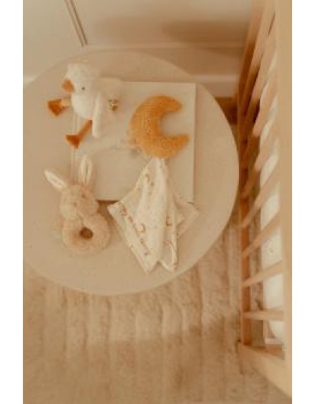 Сет за бебе во кутија - Newborn Naturals, Little Dutch