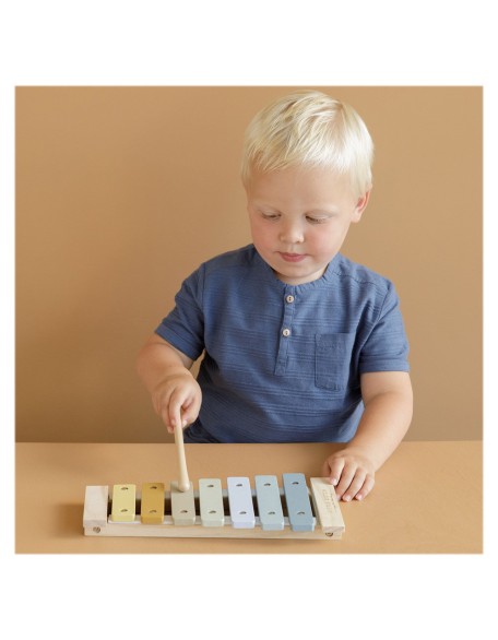 Дрвен ксилофон - син, Little Dutch