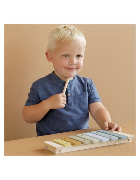 Дрвен ксилофон - син, Little Dutch