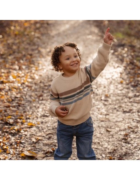 Плетен џемпер 74 - Sand Forest Friends, Little Dutch