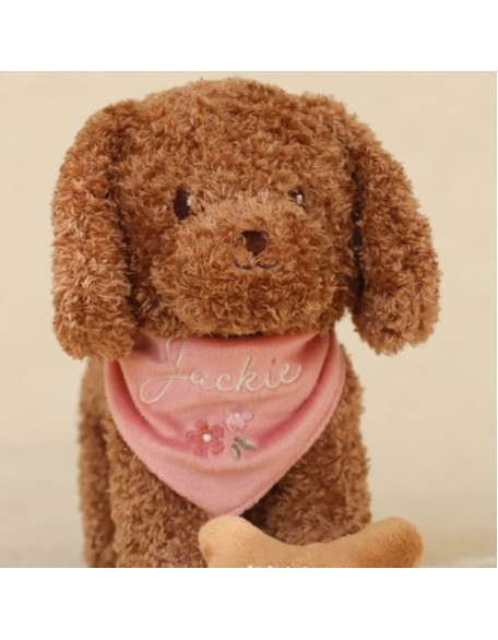 Меко куче во торба, Little Dutch