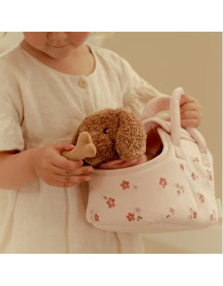 Меко куче во торба, Little Dutch