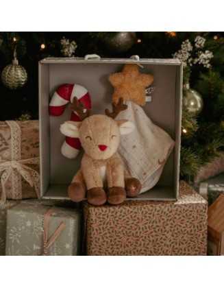 Новогодишен сет за бебе - Little Dutch