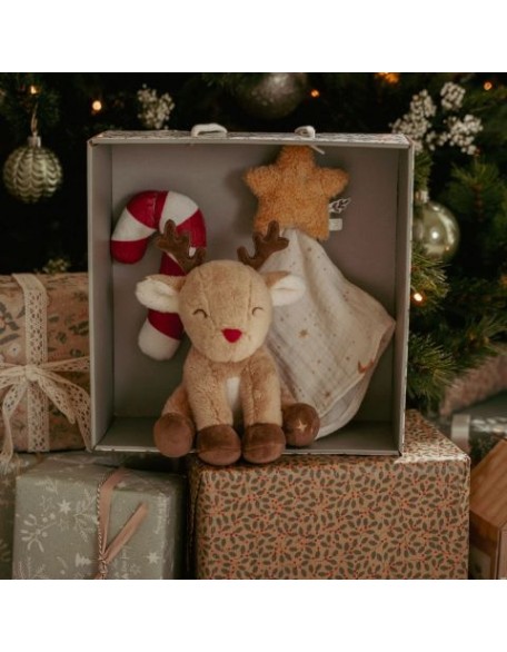 Новогодишен сет за бебе - Little Dutch